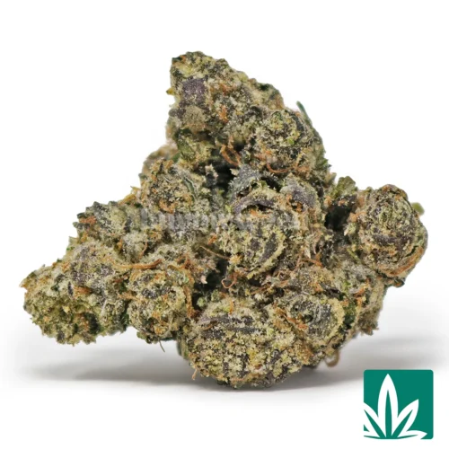 Sunset Runtz Strain - 1