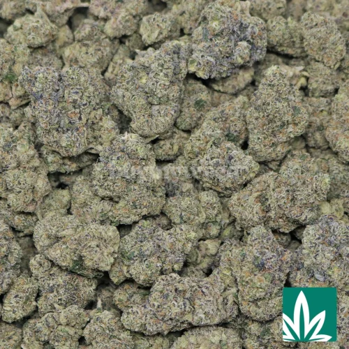 Zkittlez Strain - 2