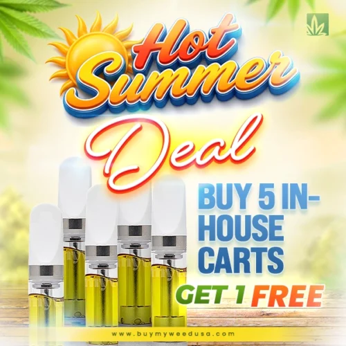 Summer Deal - In-House Carts