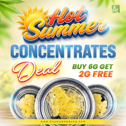 Summer Concentrates Deal - Get 2G FREE!