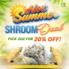 Hot Summer - Shrooms Deal