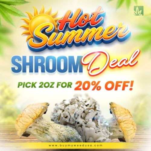 Hot Summer - Shrooms Deal