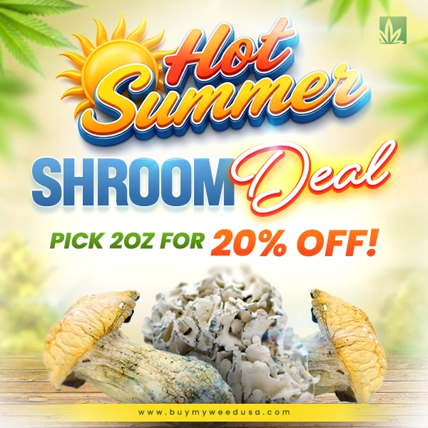 Hot Summer - Shrooms Deal