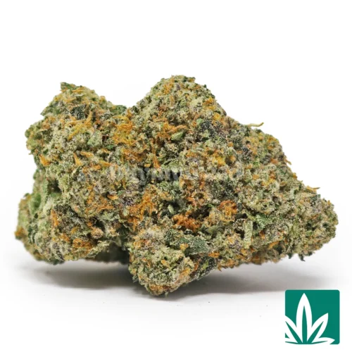Bacio Gelato Strain - 1