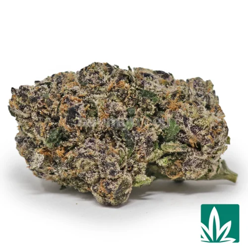 Bubblegum Gelato Strain - 1