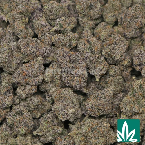 Black Space Runtz Strain - 2
