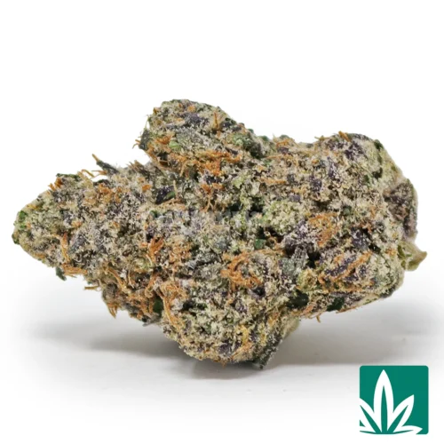 Blue Nerdz Strain - 1