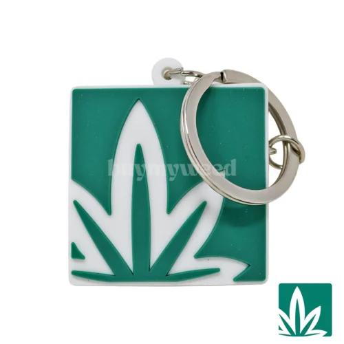 BMW Key Chain