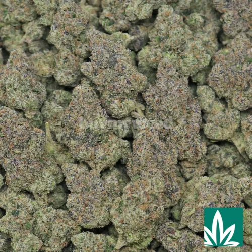 Bolo Runtz Strain - 2
