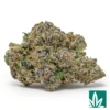 Bolo Runtz Strain - 1