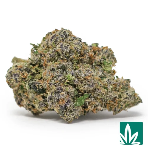 Bolo Runtz Strain - 1