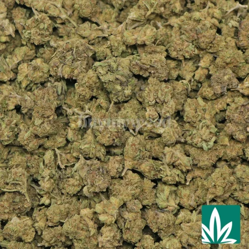 Candy Gas 'Smalls' Strain - 2