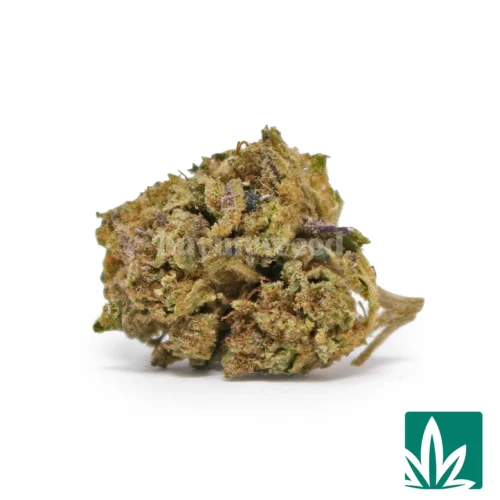 Candy Gas 'Smalls' Strain - 1