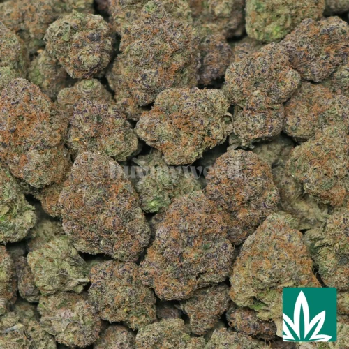 Candy Mochi Strain - 2