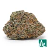 Candy Mochi Strain - 1
