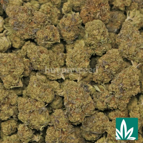 Cookie Crumble Strain - 2