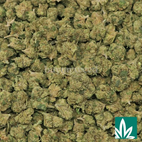 E85 'Smalls' Strain - 2
