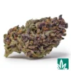 Forbidden Fruit Strain - 1