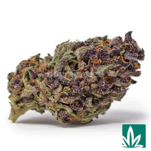 Forbidden Fruit Strain - 1