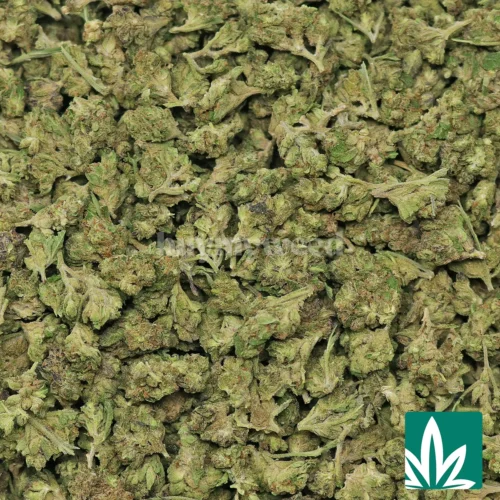Gelato Cake 'Smalls' Strain - 2