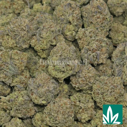 Georgia Kush Strain - 2