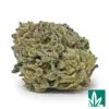 Georgia Kush Strain - 1