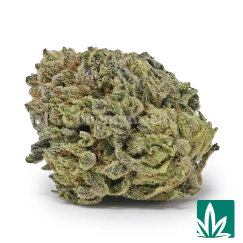 Georgia Kush Strain - 1