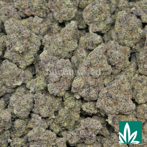 Gods Breath Strain - 2