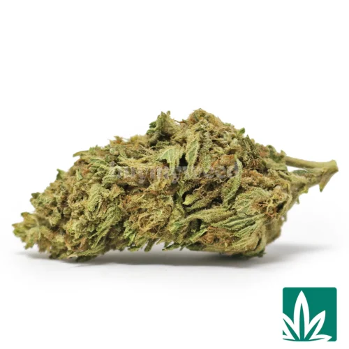 Grape Pie Strain - 1