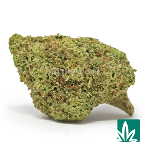 Hardcore OG Strain - 1