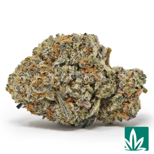Ice Cream Gelato Strain - 1