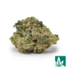 Jealousy 'Smalls' Strain - 1