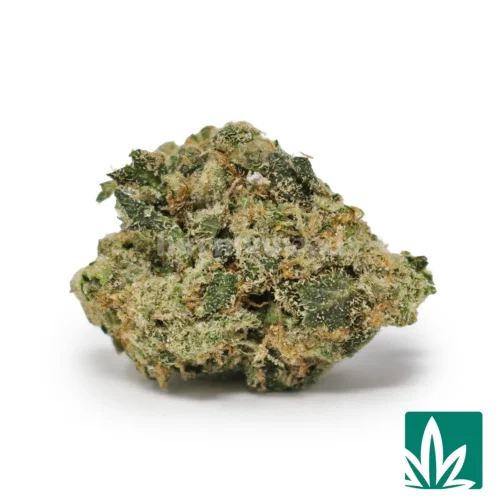 Jealousy 'Smalls' Strain - 1