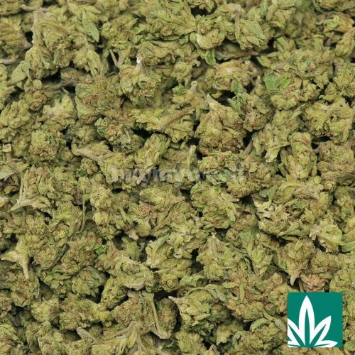 Kush Pie 'Smalls' Strain - 2