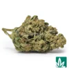 Lemon Cherry Gelato Strain - 1