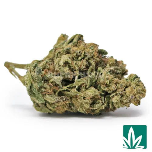 Lemon Cherry Gelato Strain - 1