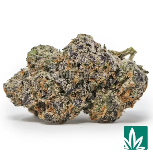 Lemon Cherry Gushers Strain - 1
