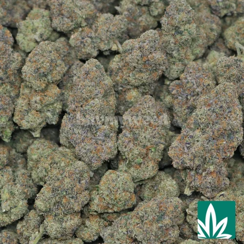 Pink Cherry Gushers Strain - 2