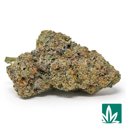Pink Cherry Gushers Strain - 1