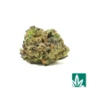 Pink Guava 'Smalls' Strain - 1