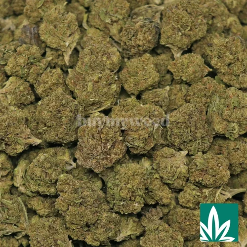 Pink Runtz Strain - 2
