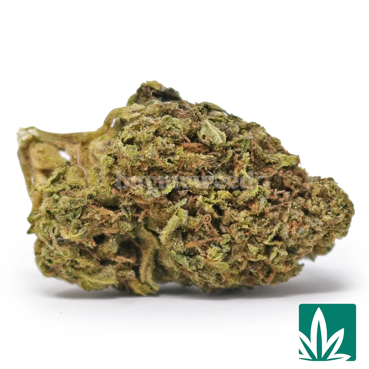 Pink Runtz Strain - 1