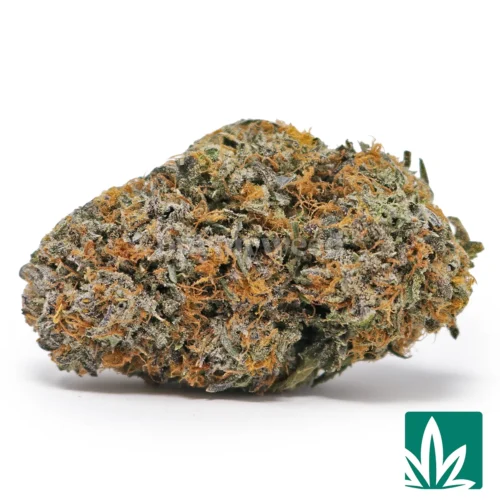 Platinum Kush Strain - 1