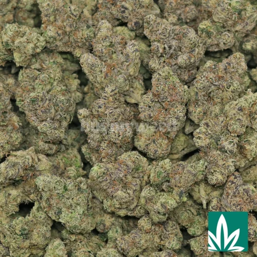 Rainbow Cherry Strain - 2