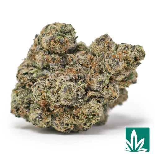 Rainbow Cherry Strain - 1