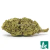 Rainbow Kush Strain - 1