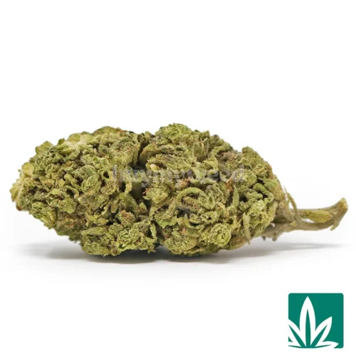 Rainbow Kush Strain - 1