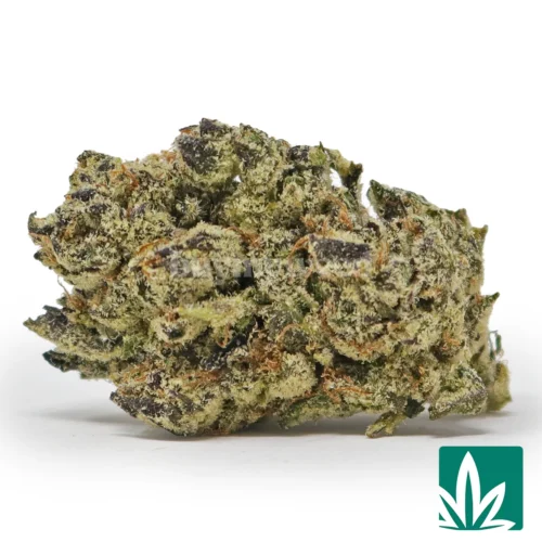 Royal Gas Strain - 1