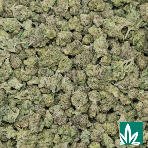 Royal Gas 'Smalls' Strain - 2