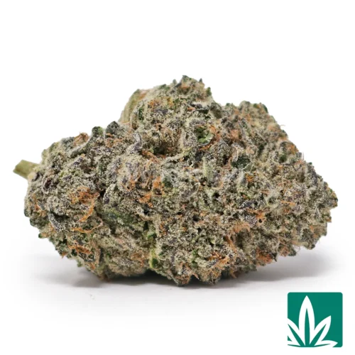Scout Cookies Strain - 1
